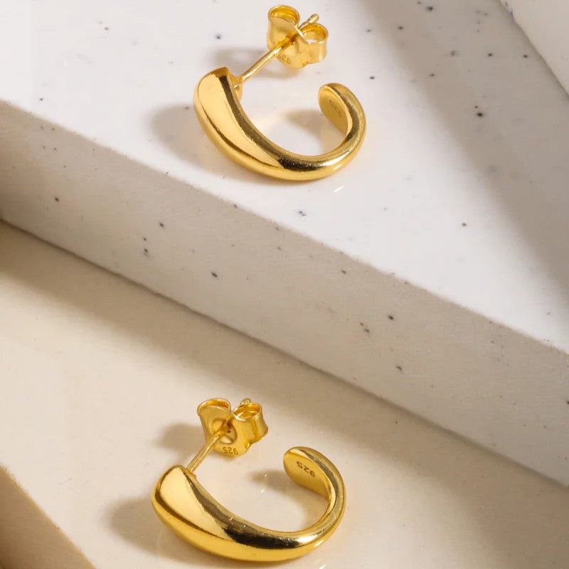 Yellow Gold Plated Earrings